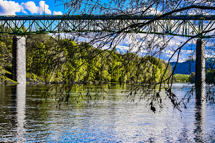 Bridge over the River by Edna Gonzalez-Rothenberg.